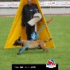 IMG_9426 (2)